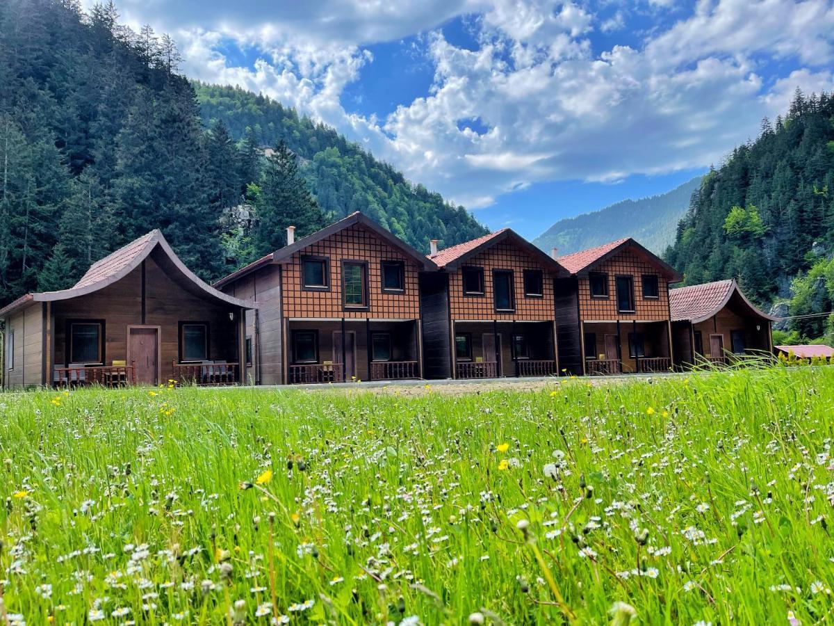 Raha Villa Bungalow Uzungöl Exteriör bild