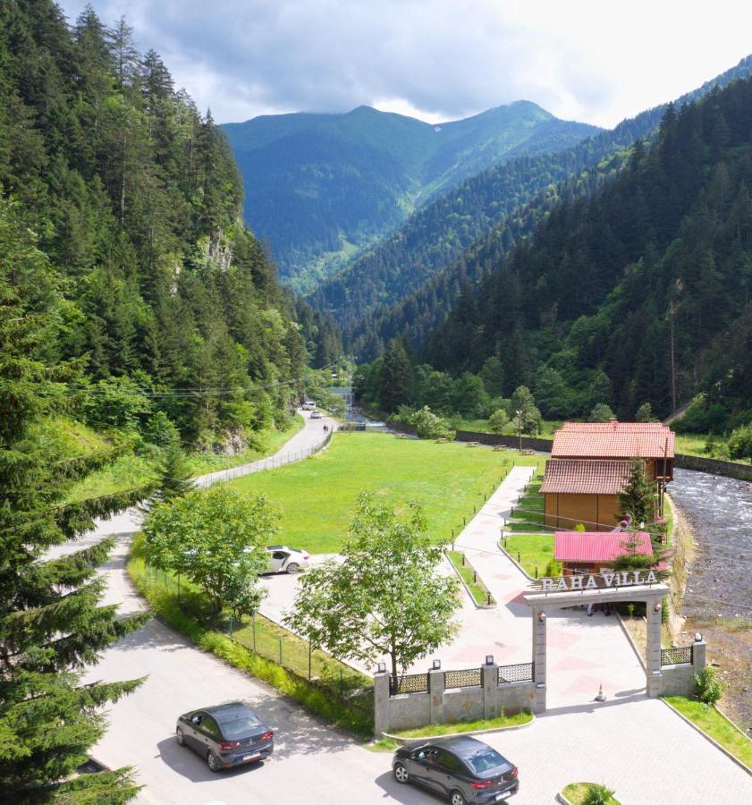 Raha Villa Bungalow Uzungöl Exteriör bild